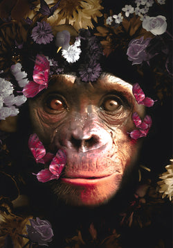 150x100 / 120x80 / ​​90x60cm - Exklusiv - Kruger - Planet der Affen - Glasmalerei