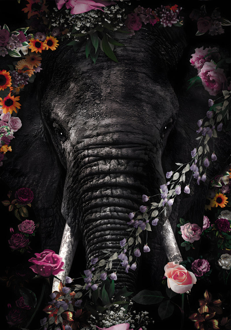150x100 / 120x80 / ​​90x60cm - Exklusiv - Kruger - Elefant Boris - Glasmalerei