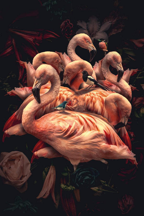 80x120cm - Exclusive - Animals - Flamenco Rosa - Glass Painting