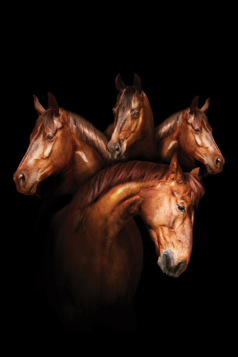 80x120cm - Exclusive - Animals - Horses Art - Glass Painting